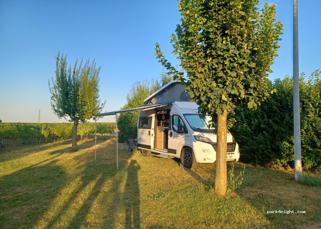 Weingut Erich Braun & Söhne — foto 2