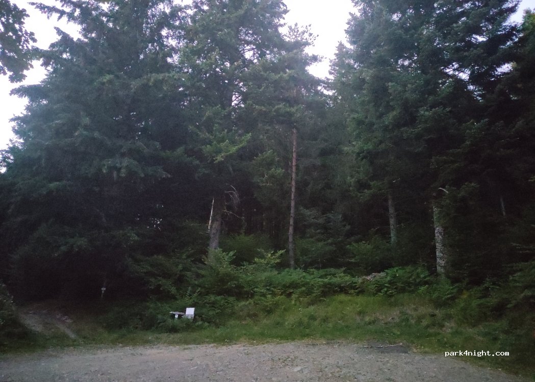 (03250) Lavoine - D995 — foto 4