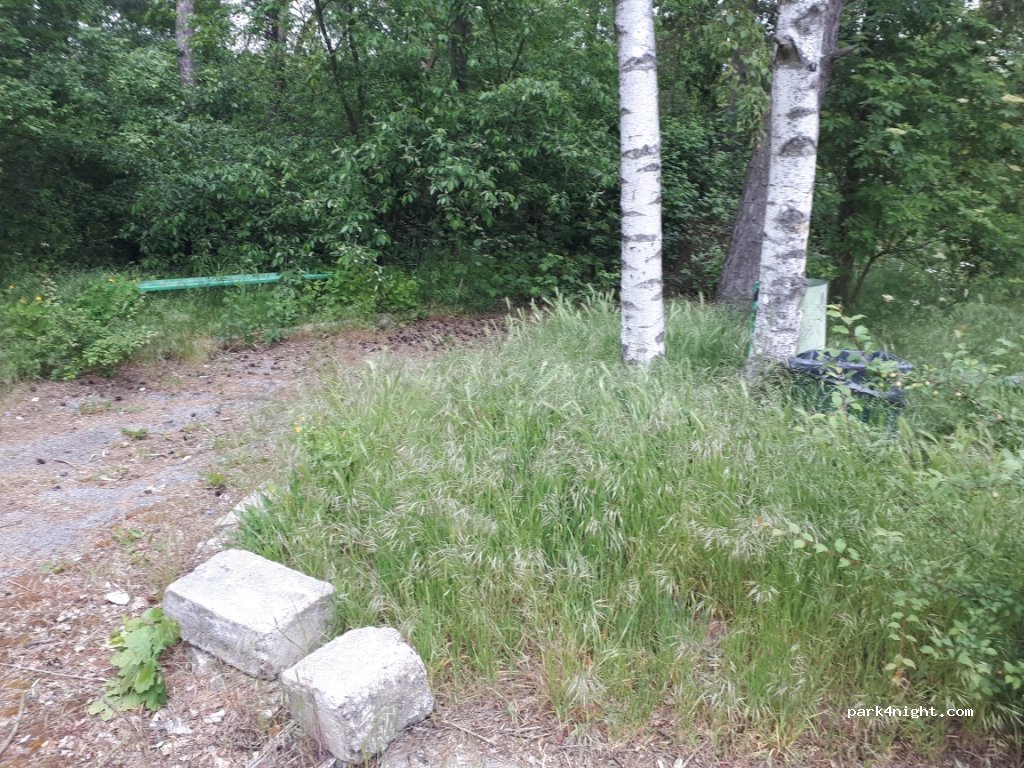 (63) Brzezie - Perzów — foto 3