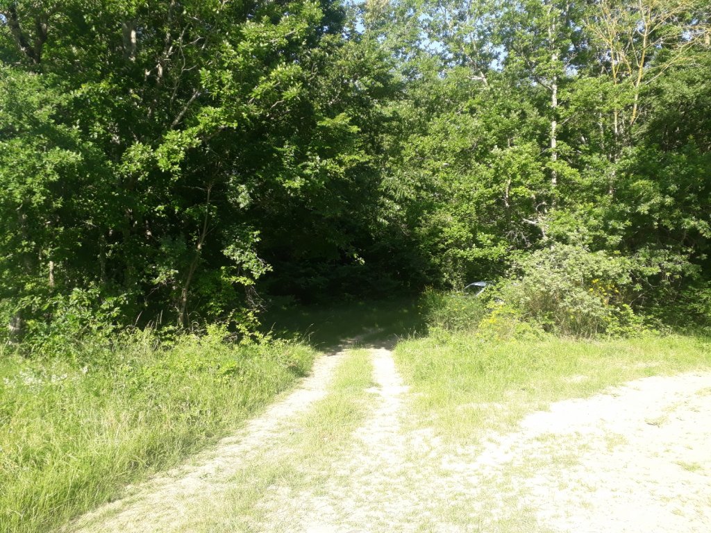 (09500) Lagarde - Plaine d'Espert — foto 3