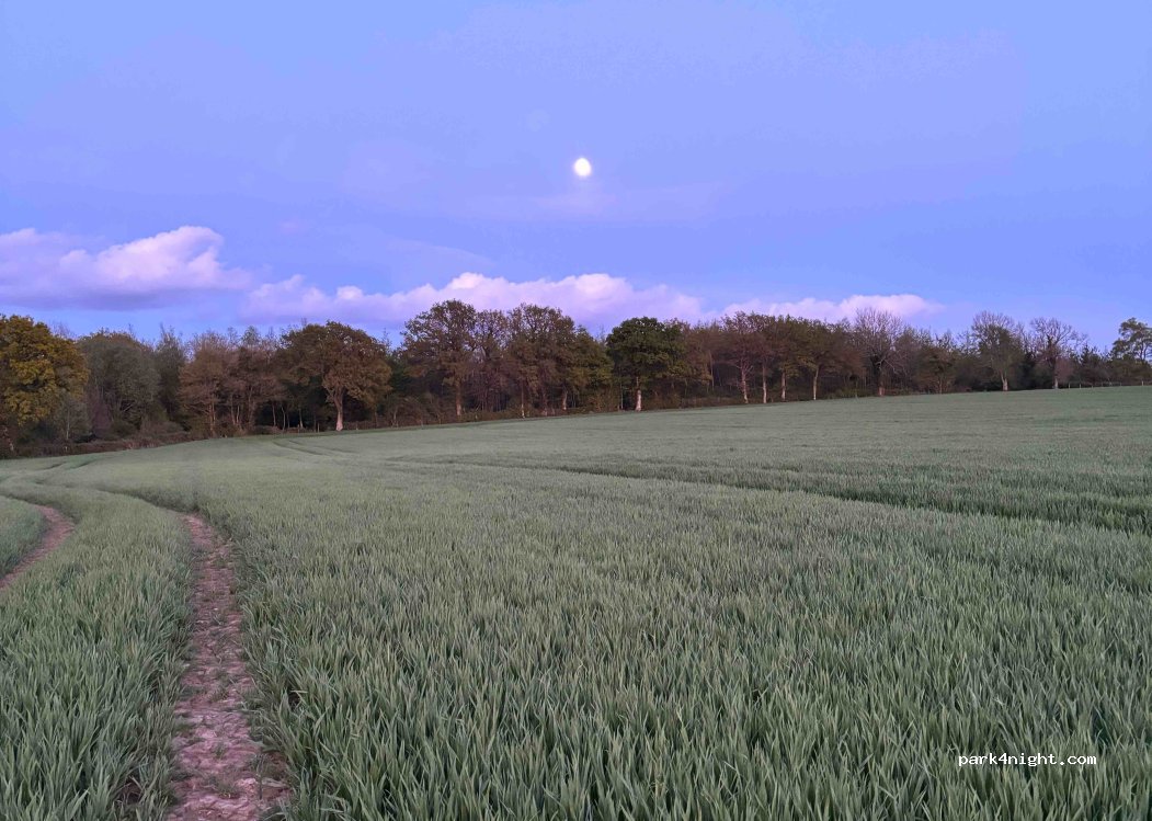 (62240) Crémarest - Route de Reclinghen — foto 4