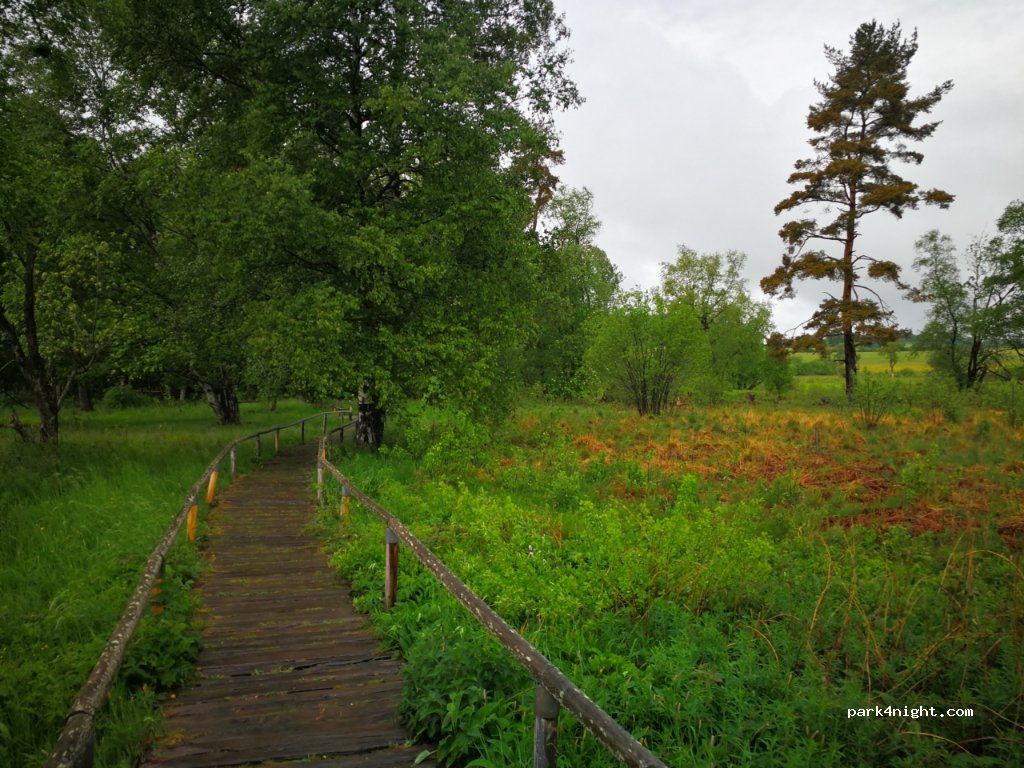 (73266) Lenningen - 12 Torfgrube — foto 2