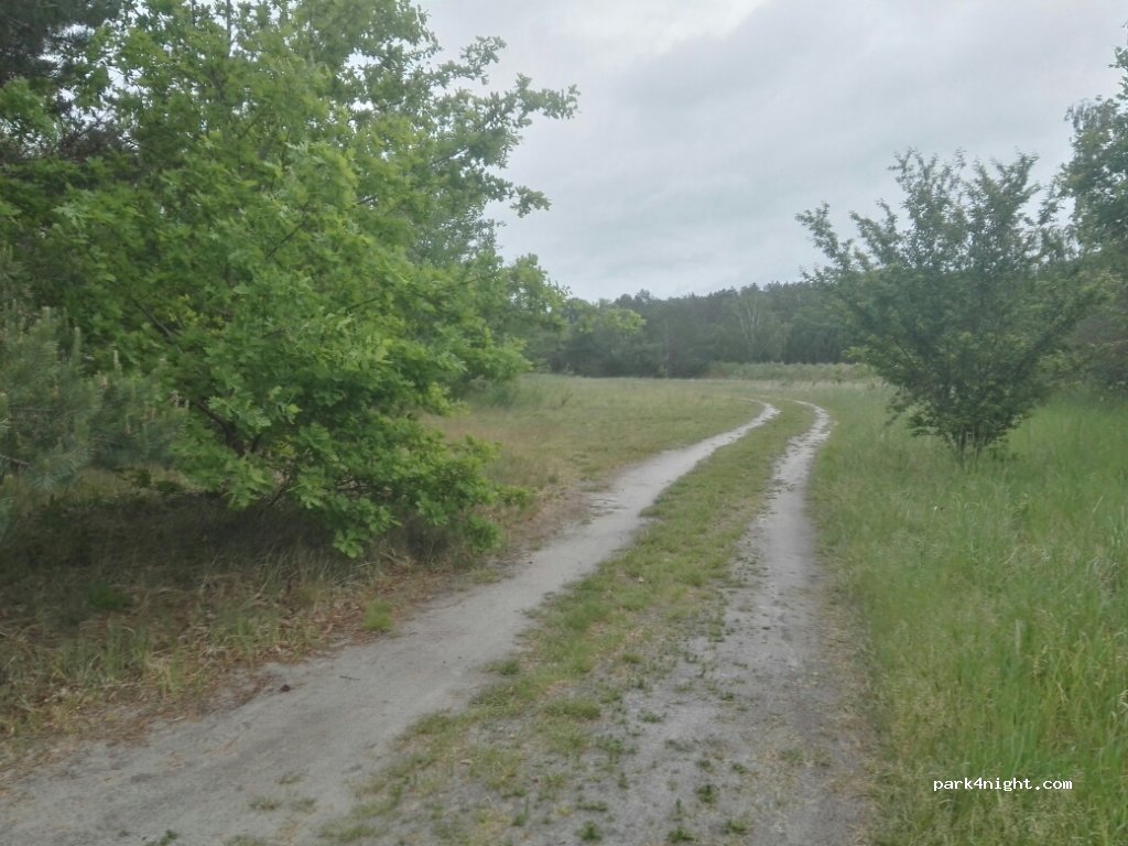 (39590) Miltern - Unnamed Road — foto 2