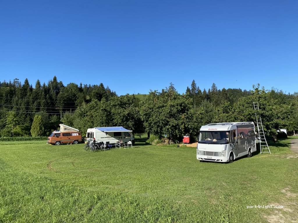 (3452) Grünenmatt - 1212 Dürr — foto