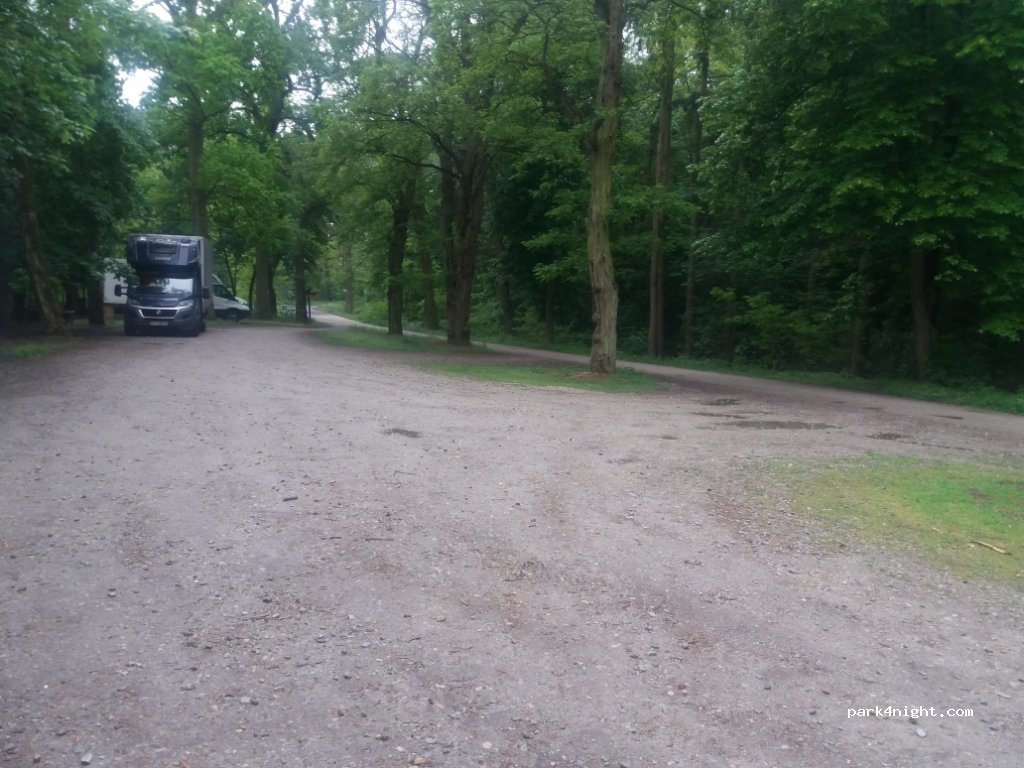(63-020) Zaniemyśl - Droga Wojewódzka 432 — foto