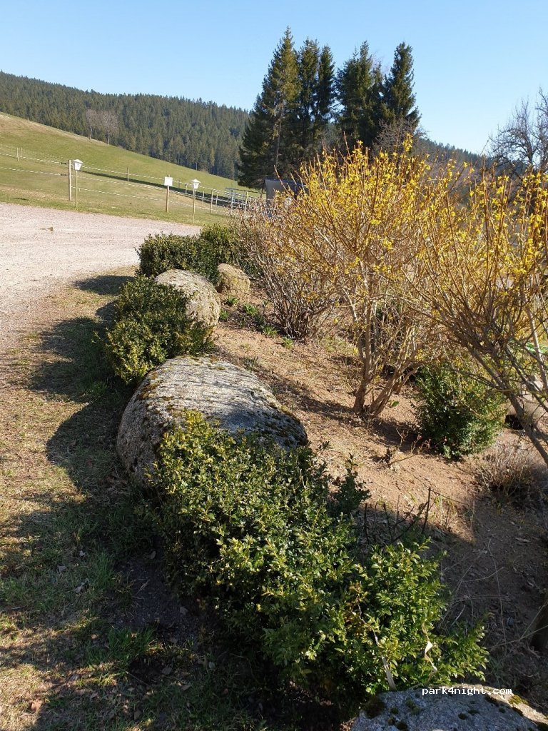 Bartlehof — foto 2