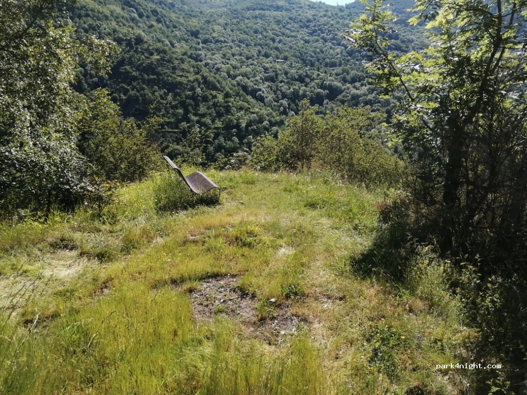(09220) Siguer - D24 — foto 2