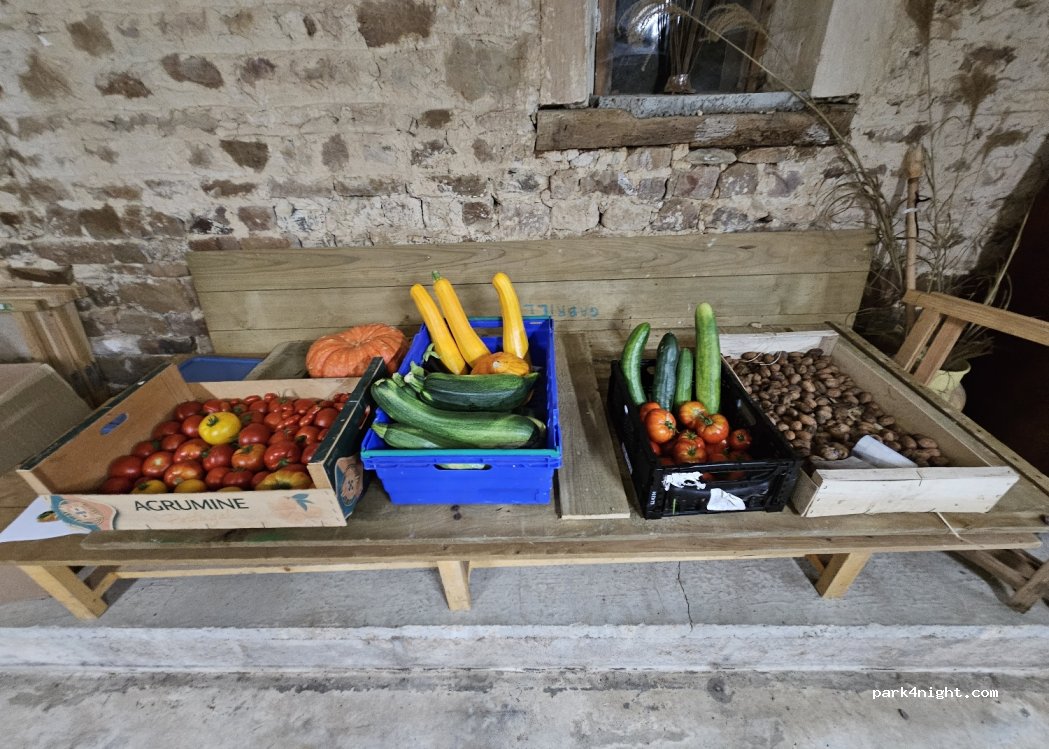 La chouette escale le Mesnil — foto 4