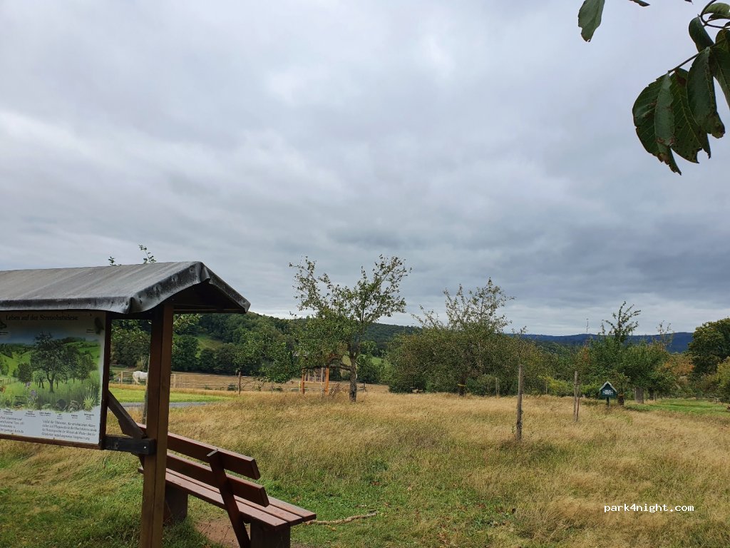 (63619) Bad Orb - Unnamed Road — foto 2
