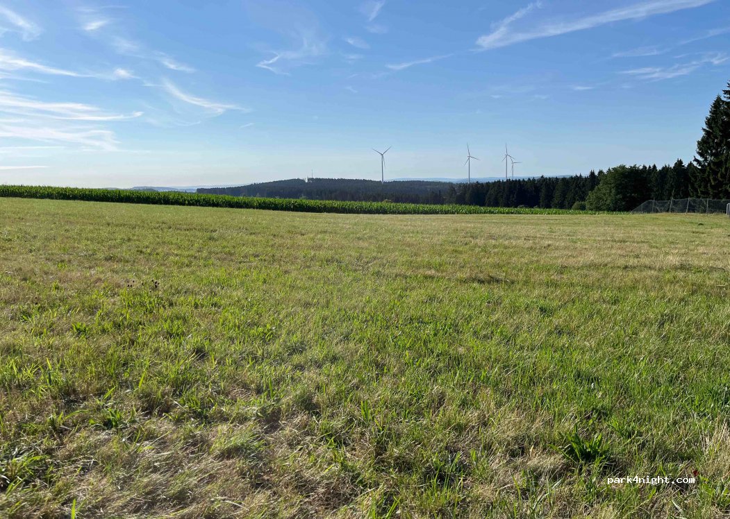(95173) Schönwald - — foto 2
