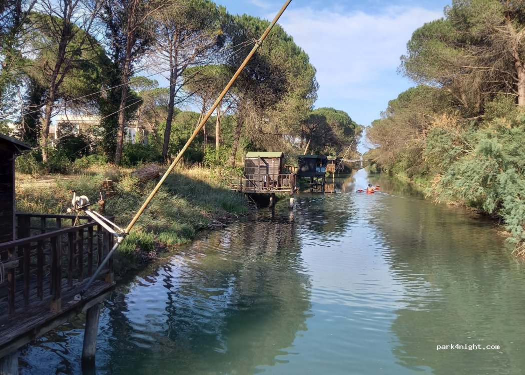 Milano Marittima Congress — foto 4