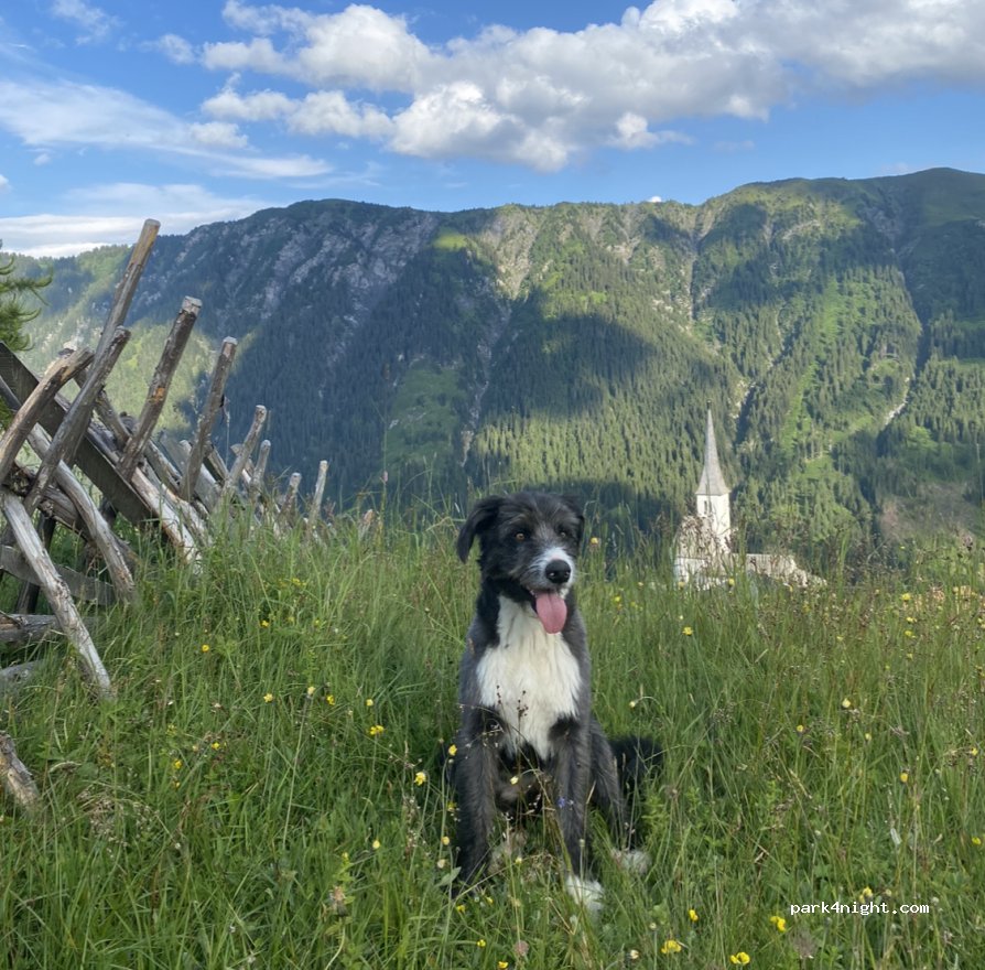 Biohof Hofstatt — foto 5