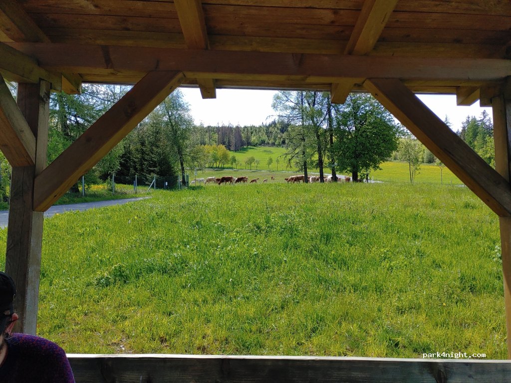 (96515) Föritztal - K1 — foto 2