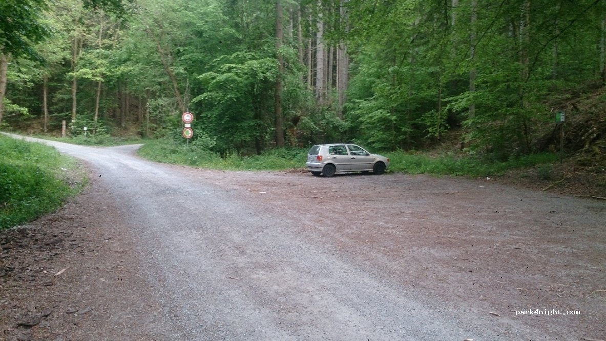 (97843) Rohrbrunner Forst - — foto 2