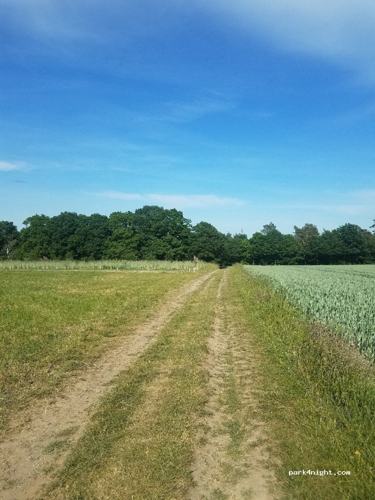 (52393) Hürtgenwald - Kierlingsweg — foto
