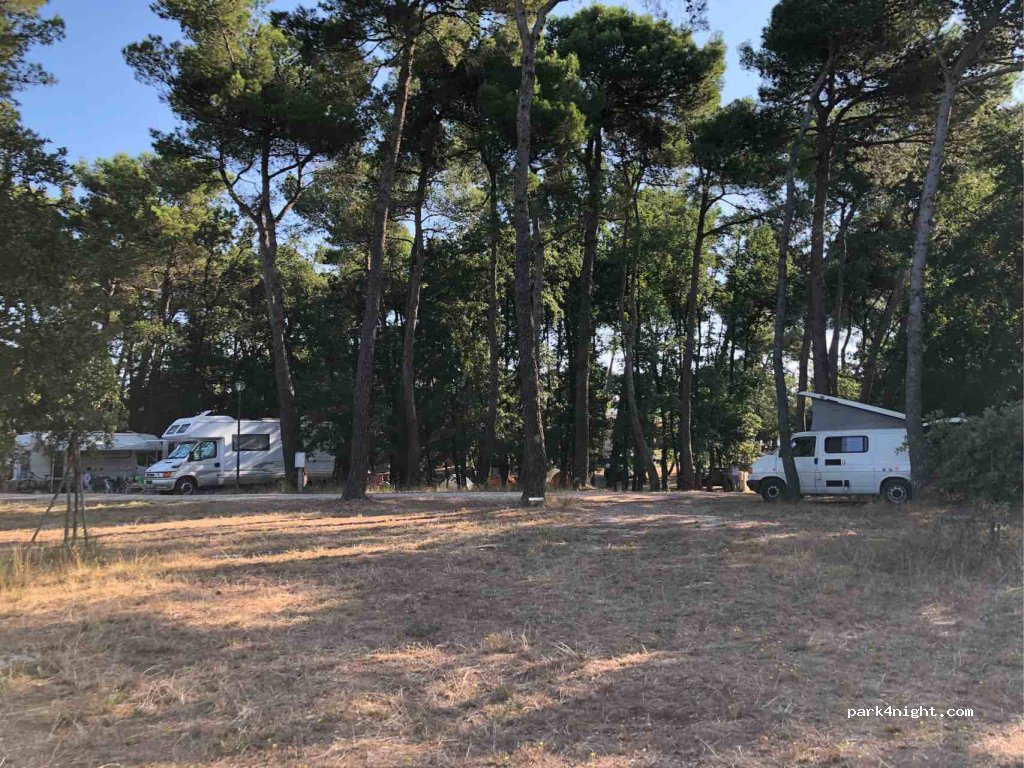 Camping Bosco Selva — foto 2