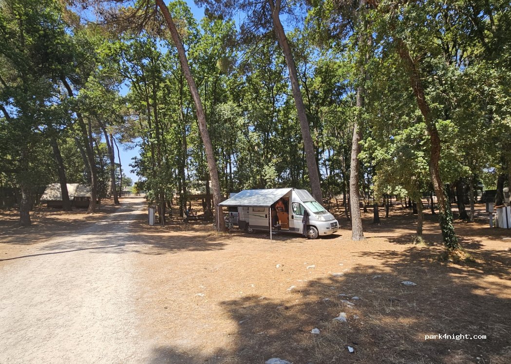 Camping Bosco Selva — foto 4