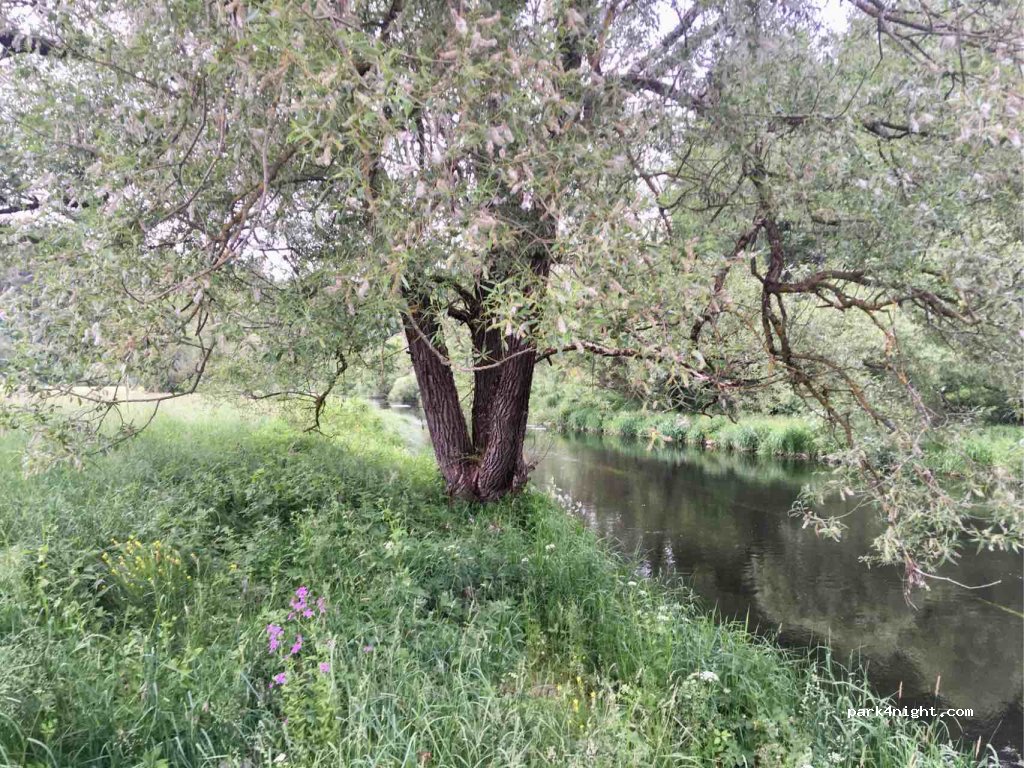 (94209) Regen - 13 Oleumhütte — foto 2