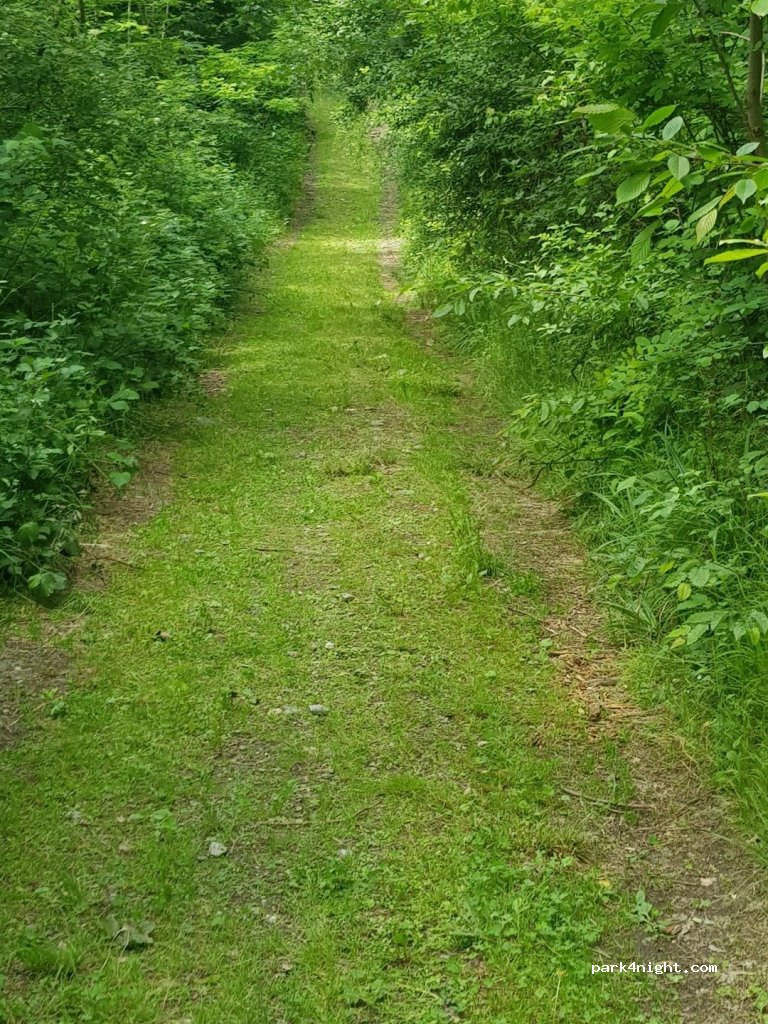 Complex Turistic Căsoaia — foto 2