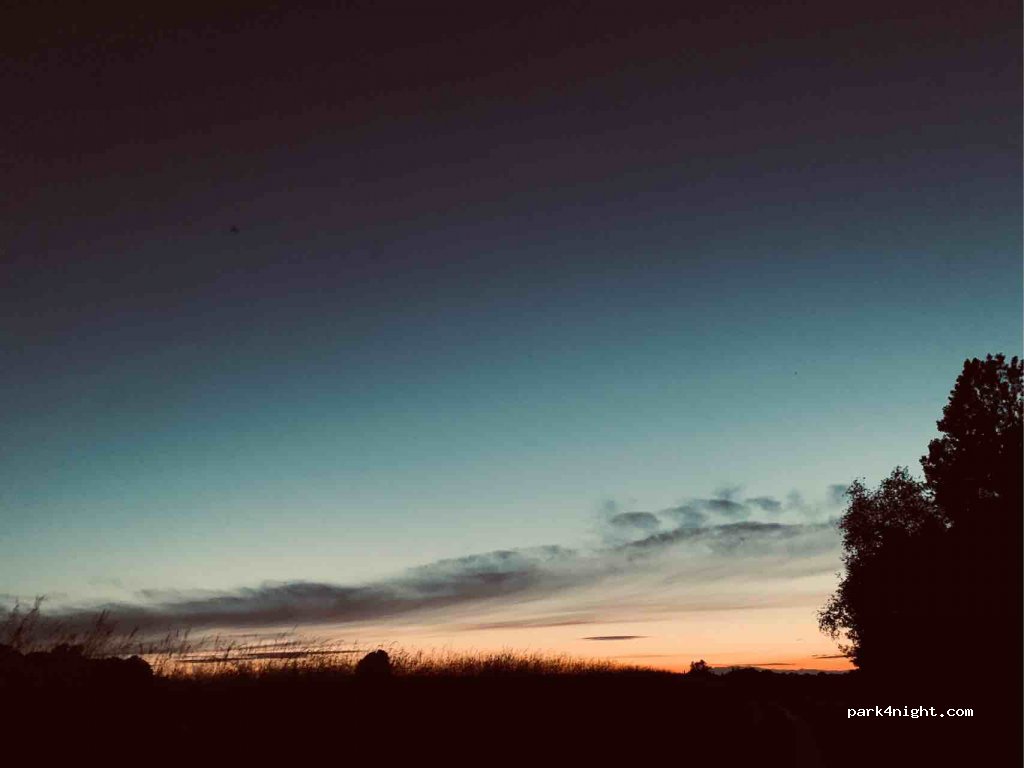 (04442) Zwenkau - Unnamed Road — foto