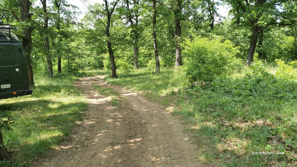 () Sveshtari - Unnamed Road — foto 2