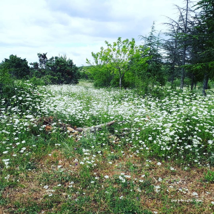 (07200) Lanas - Le Gras Bas — foto