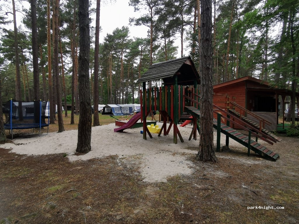 Pole Namiotowe - Leśny zakątek — foto