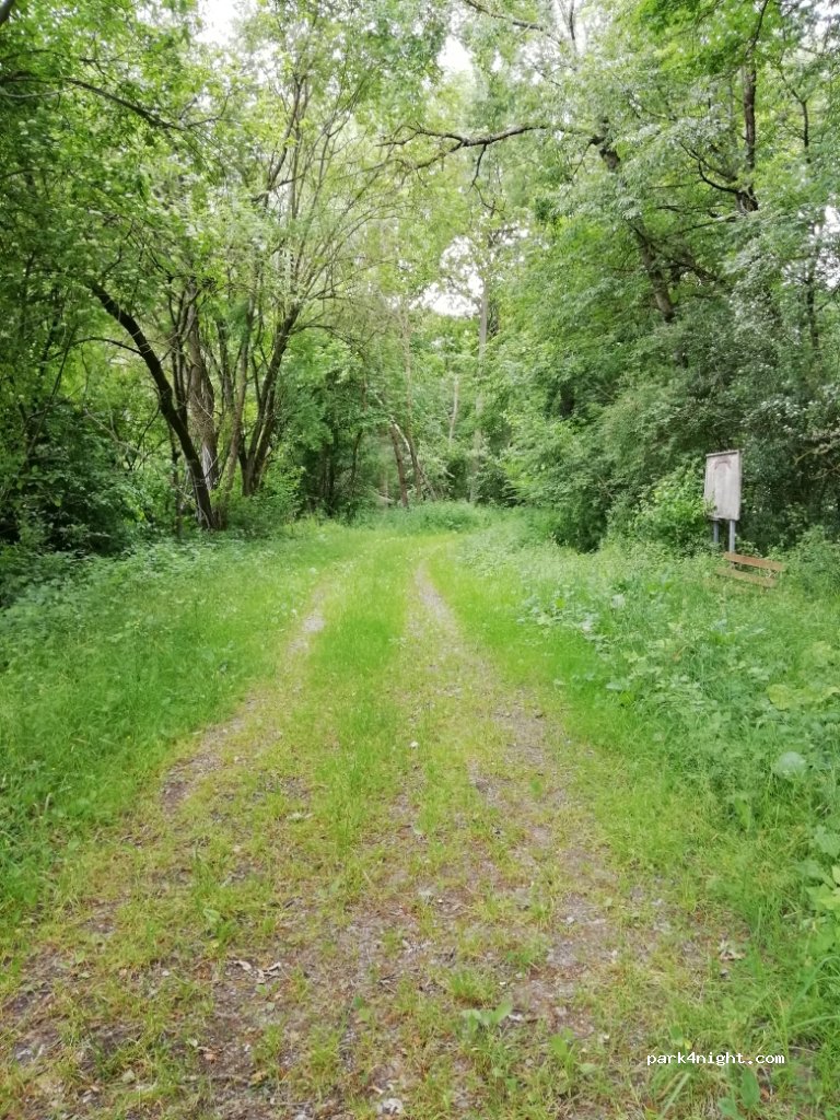 (97283) Riedenheim - Unnamed Road — foto