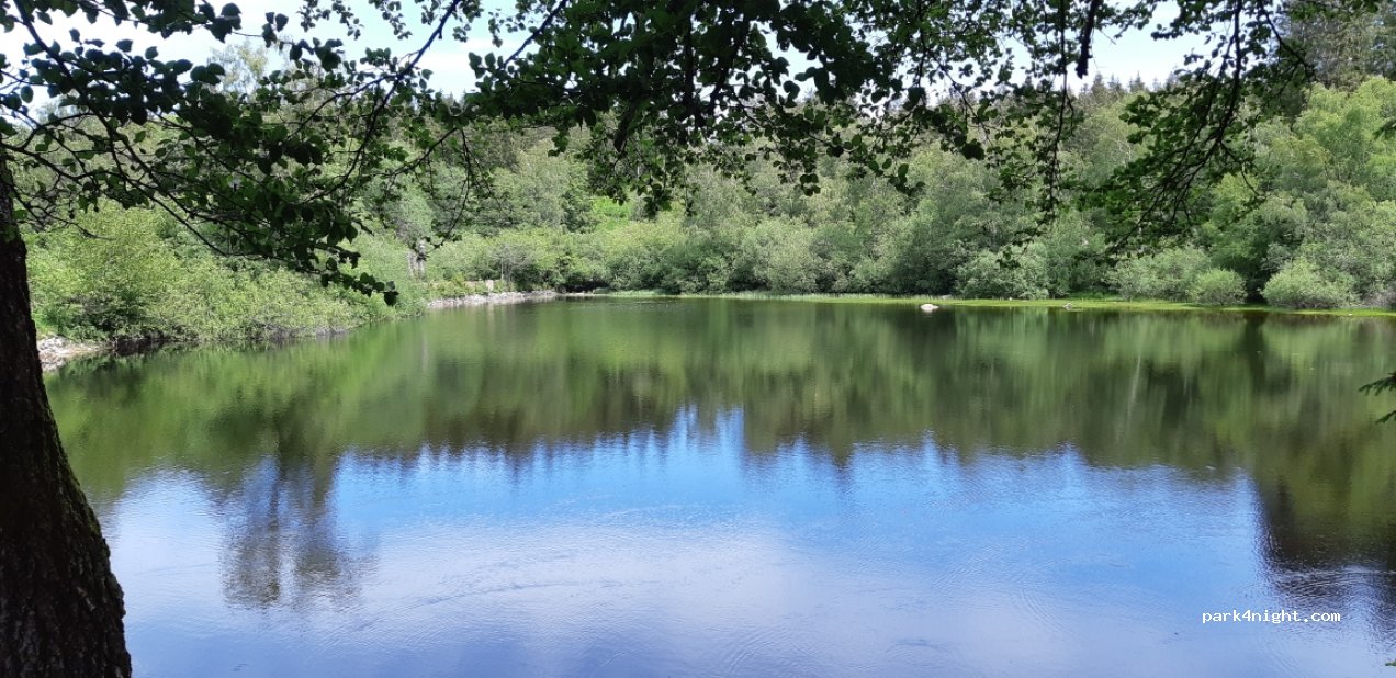(58430) Arleuf - D500 — foto 3
