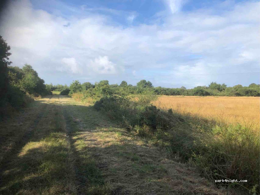 (44250) Saint-Brevin-les-Pins - Chemin des Bois Ecrignes — foto