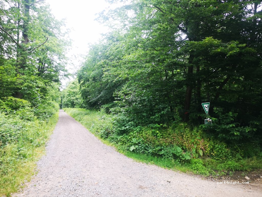 (65195) Wiesbaden - Platter Straße — foto 3