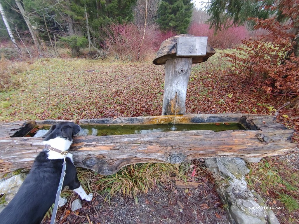 (87488) Betzigau - — foto 2