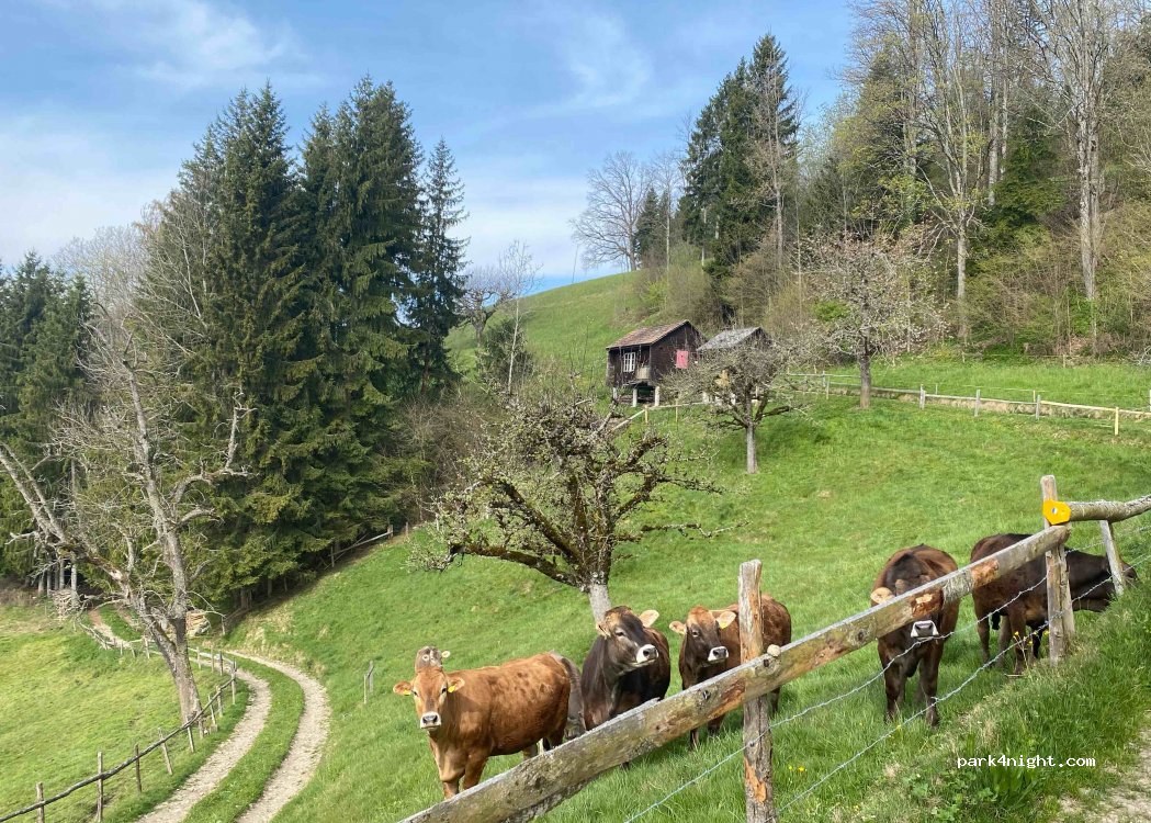 (6114) Steinhuserberg - Hinter-Hochwart 2 — foto