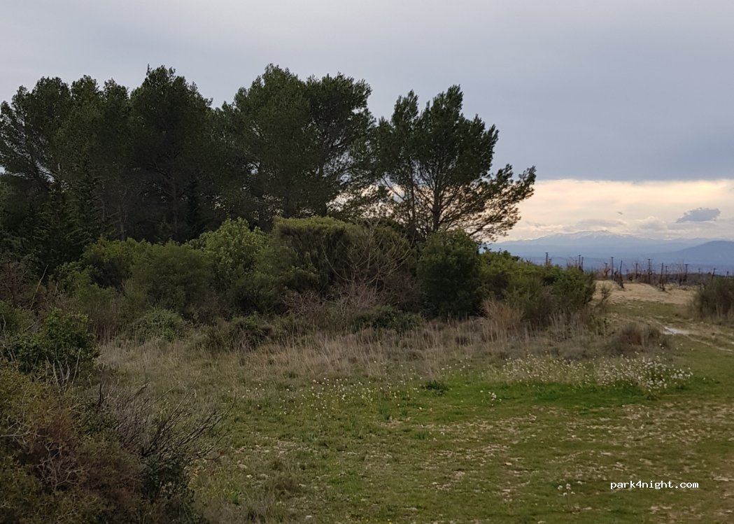 (34210) Minerve - D147 — foto 2