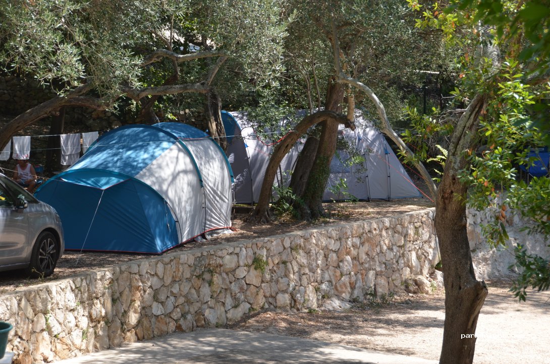Camp Pod Maslinom — foto 4