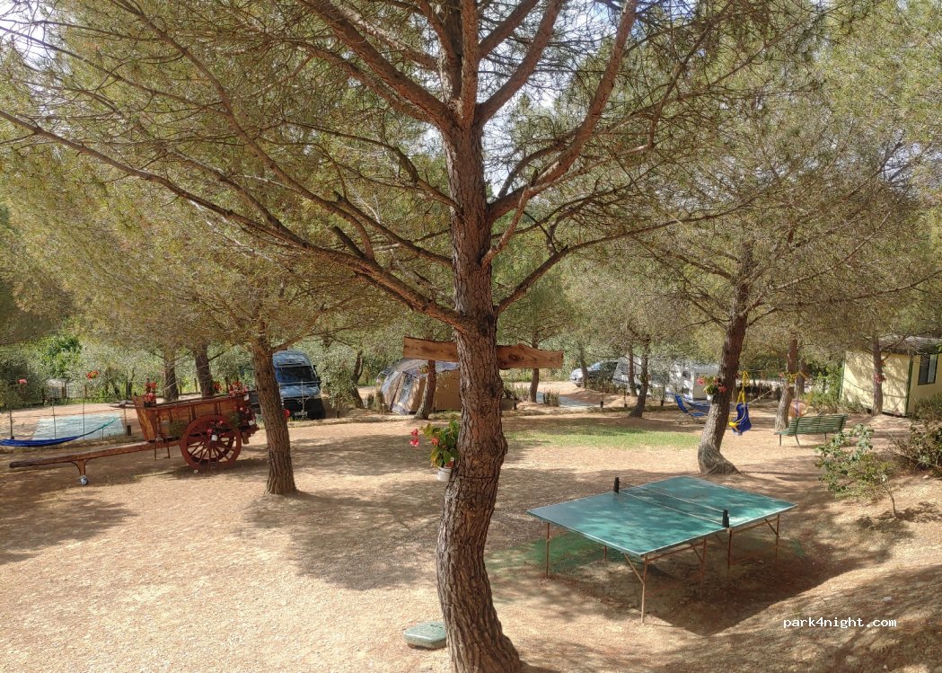 Wine Camping area di sosta camper Poggio ai Pini — foto 2