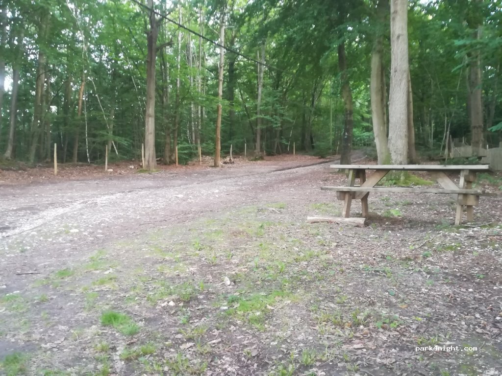 (27500) Aizier - Bois de Fécamp — foto