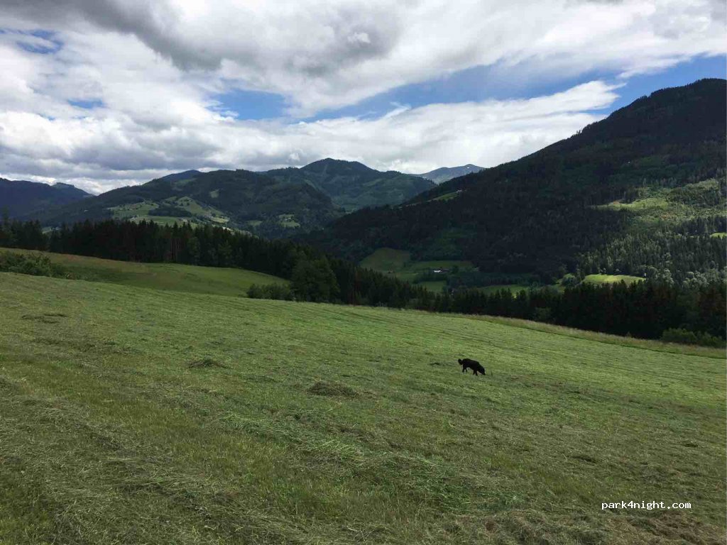 Camping Pürcherhof — foto 2