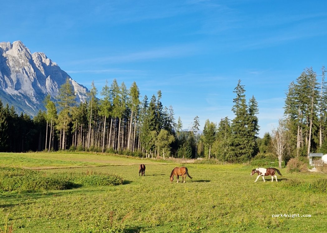 Camping Pürcherhof — foto 4