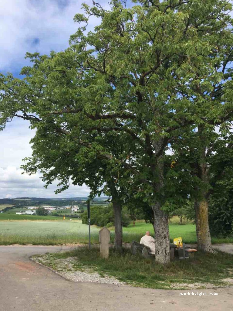 (74722) Buchen - L582 — foto 2
