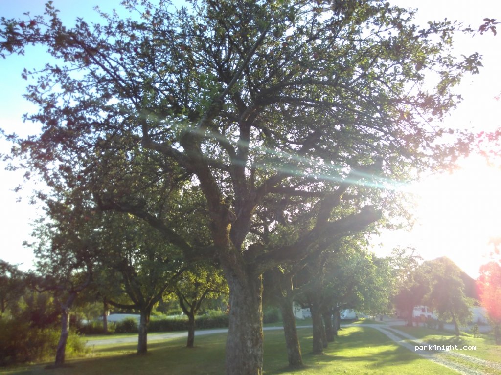 Waldcamping Hüttenhof — foto 2