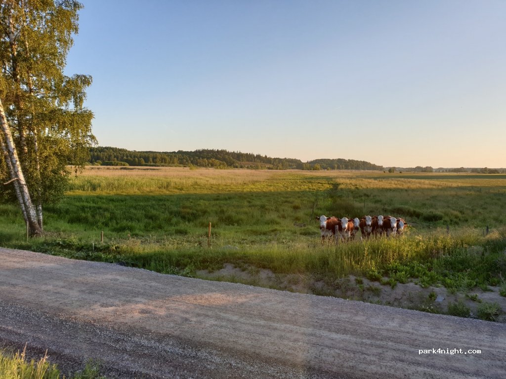 (635 05) Eskilstuna - 1 IDÖ — foto 3