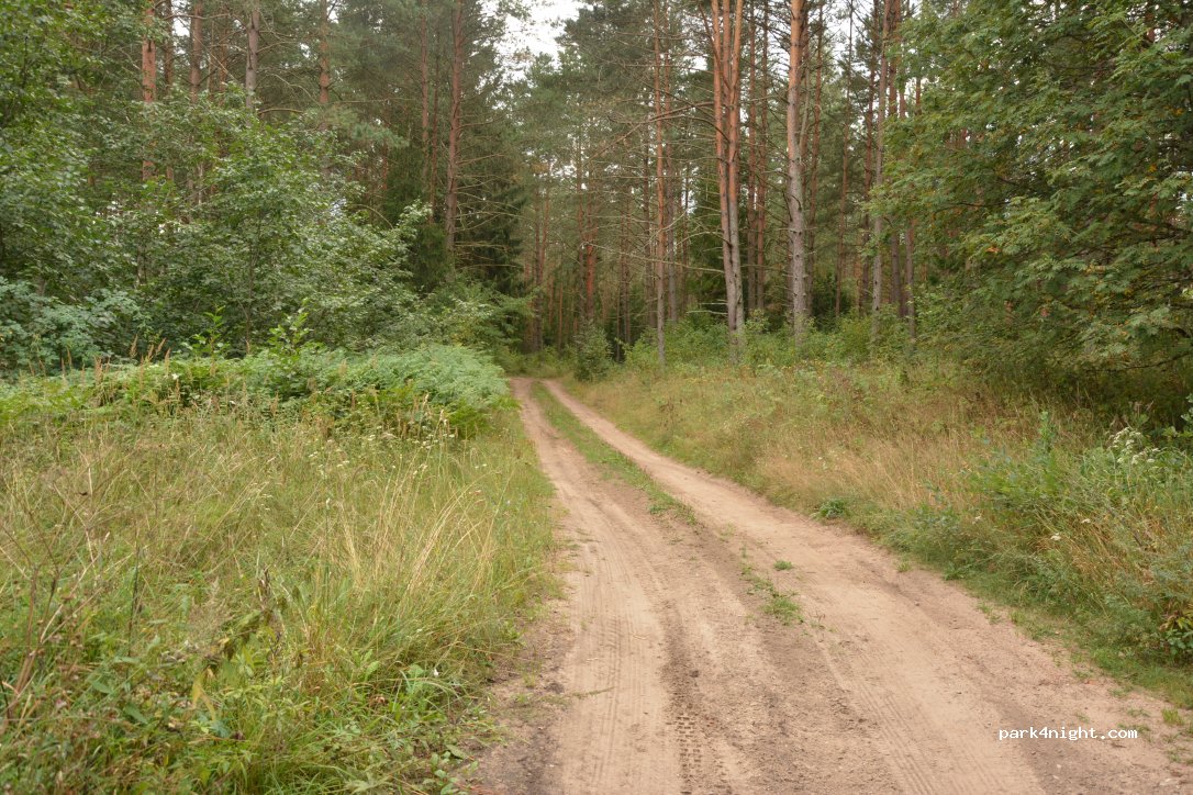 (13179) - Vilniaus gatvė — foto 2