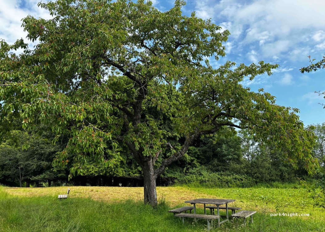 Wanderparkplatz Linden in Mössingen — foto 3