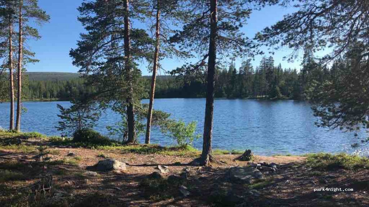 (790 90)  - 206 STRÖMSILDRET — foto