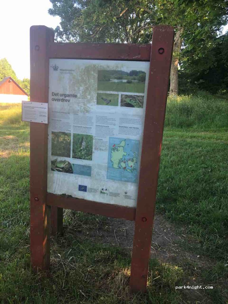 (4180) Sorø - 14 Suserupvej — foto