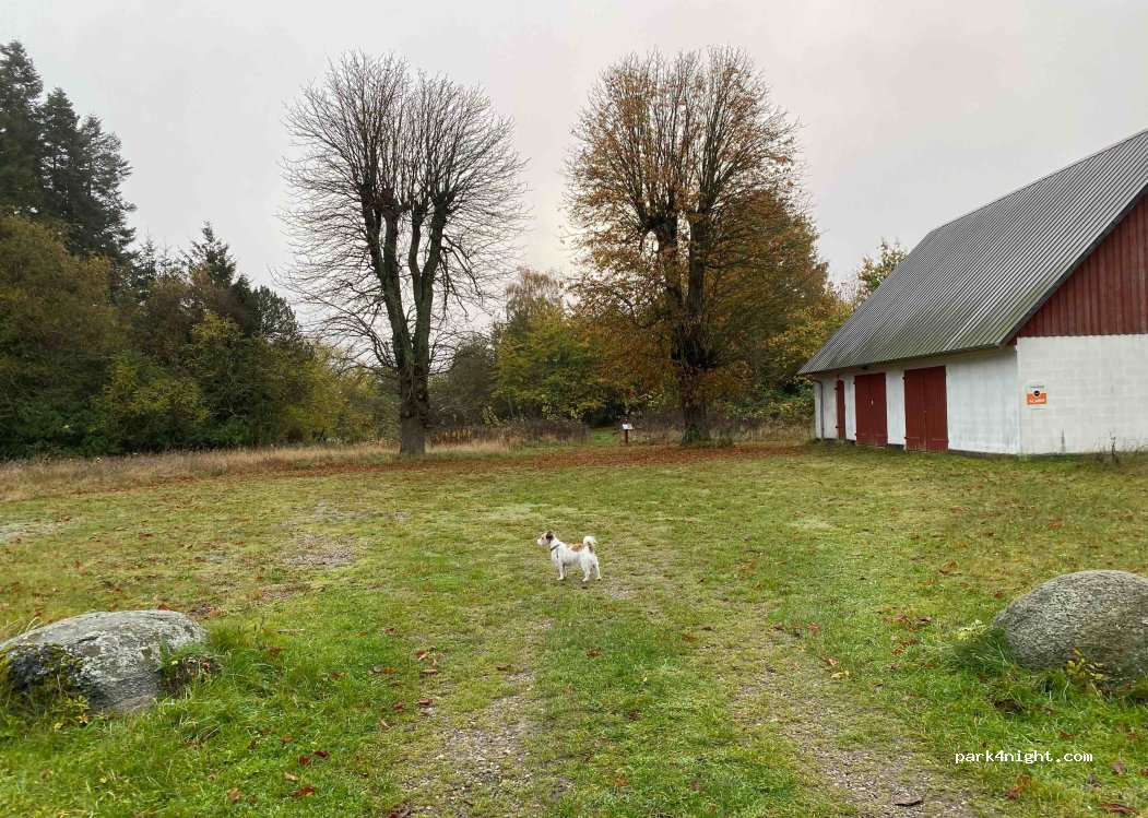 (4180) Sorø - 14 Suserupvej — foto 5