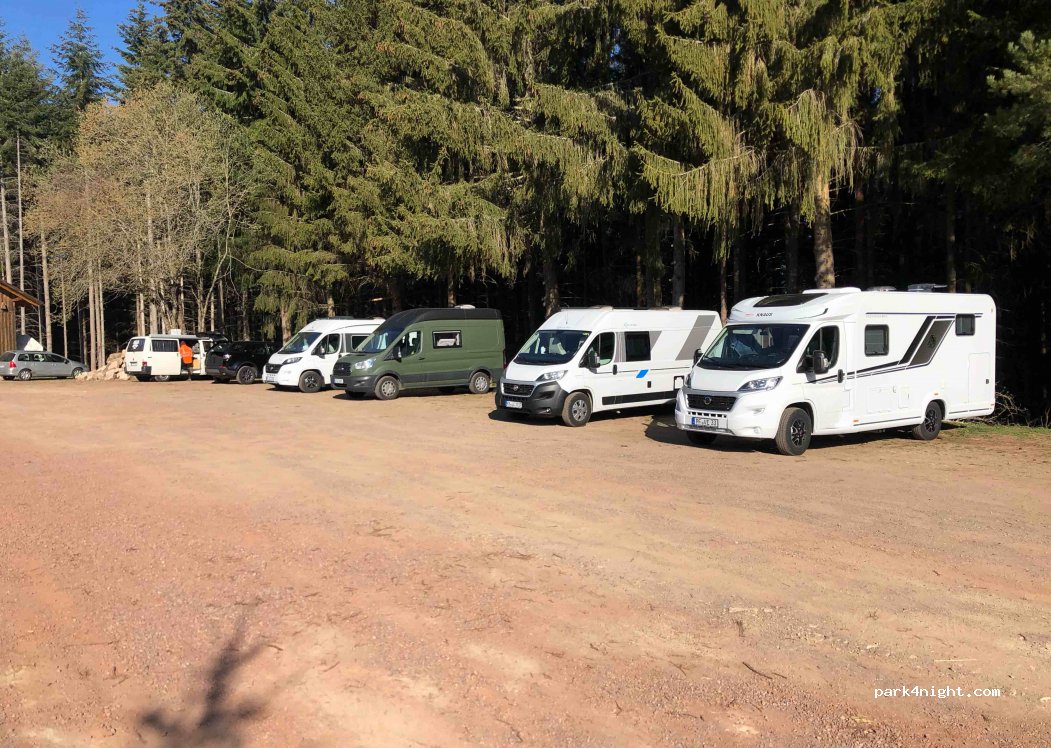 (79877) Friedenweiler - Sportplatzweg — foto