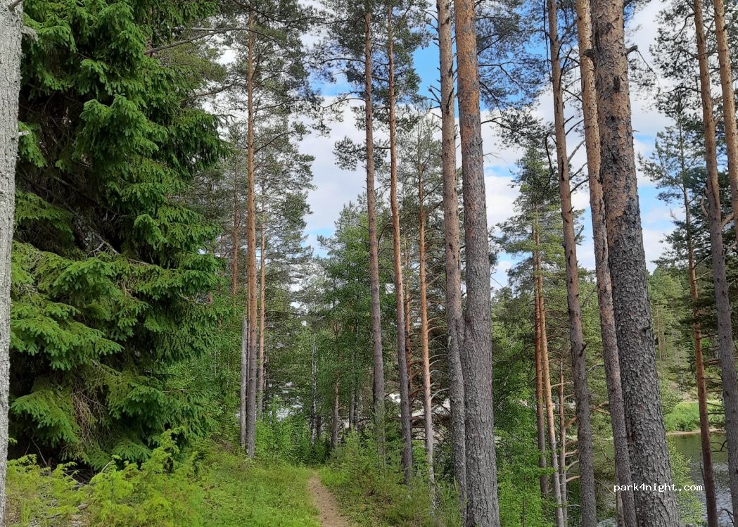 (792 94) Mora - 51 Strandvägen — foto 4
