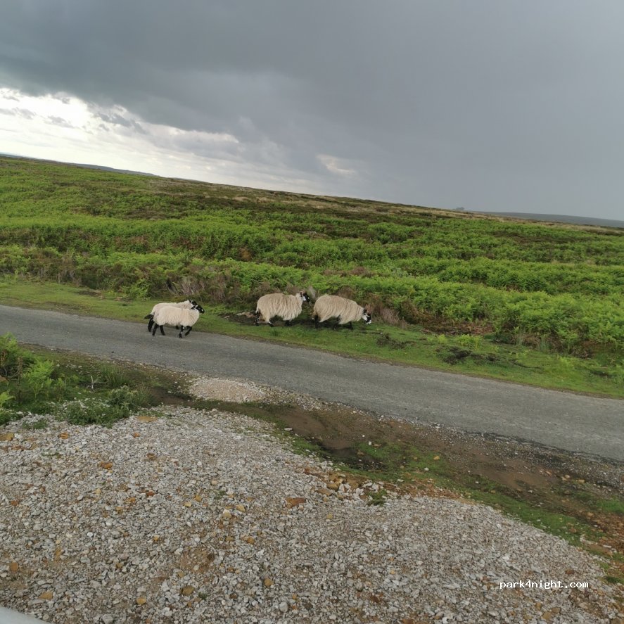 ()  - Unnamed Road — foto 2